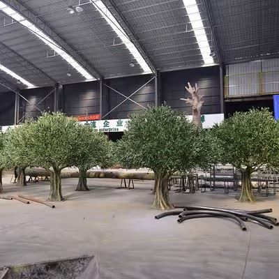 Decorative Olive Tree high quality