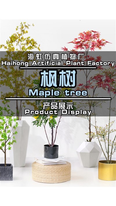 شجرة القيقب الاصطناعية في الأماكن المغلقة