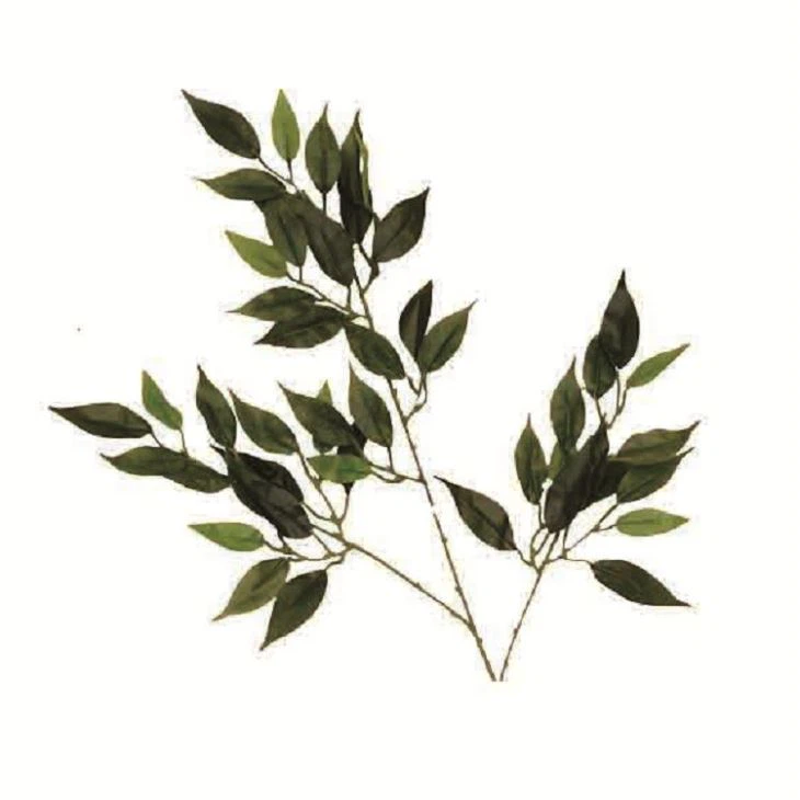 Fake Ficus Benjamin Tree