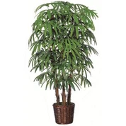 مصطنعة Rhapis النخيل