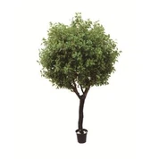 Silk Ficus Tree Hobby Lobby